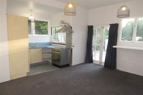 Photo of property in 29 Durham Street, Aro Valley, Wellington, 6021