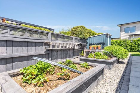 Photo of property in 57 Jarrett Terrace, Leamington, Cambridge, 3432