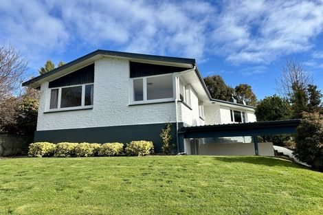 Photo of property in 323 Talbot Street, Hargest, Invercargill, 9810