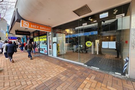 Photo of property in Breeze Plaza, 1001/57 Manners Street, Te Aro, Wellington, 6011