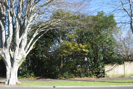 Photo of property in 65 Firth Street, Hamilton East, Hamilton, 3216