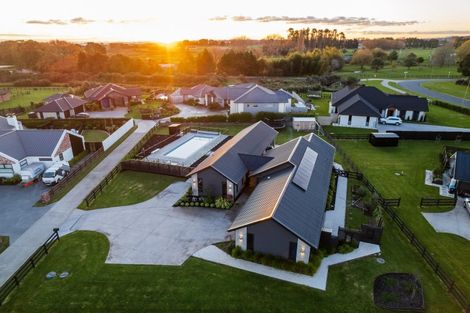 Photo of property in 49 Mike Smith Drive, Cambridge, 3434