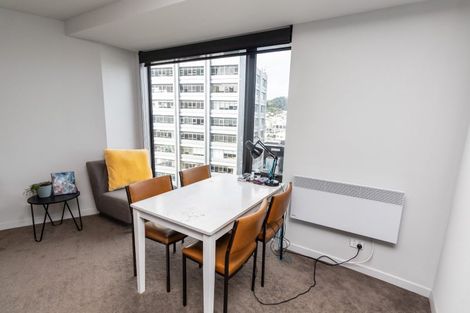 Photo of property in Pinnacle Apartments, E903/160 Victoria Street, Te Aro, Wellington, 6011