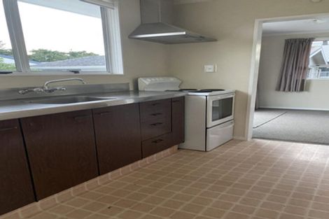 Photo of property in 151 Stanford Street North, Ashhurst, 4810