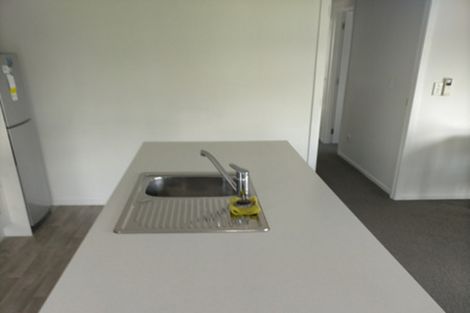 Photo of property in 24a Rivers Street, Alexandra, 9320