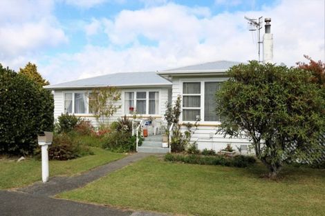 Photo of property in 9 Collingwood Street, Levin, 5510