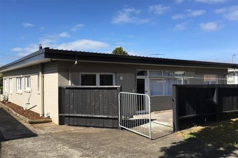 Photo of property in 223 Puhinui Road, Papatoetoe, Auckland, 2025