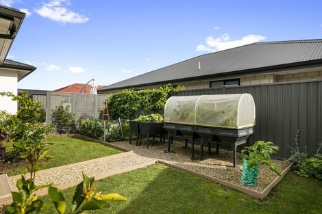 Photo of property in 24 Blacklock Road, Pyes Pa, Tauranga, 3112