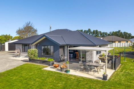 Photo of property in 23a Beaumont Street, Seddon, 7210
