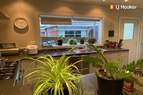 Photo of property in 20 Skibo Street, Kew, Dunedin, 9012