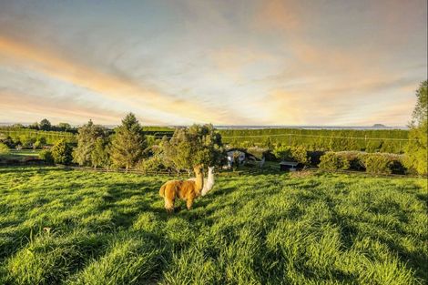 Photo of property in 233 Ross Road, Whakamarama, Tauranga, 3179