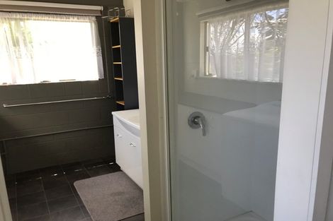 Photo of property in 153 Mahoe Street, Melville, Hamilton, 3206