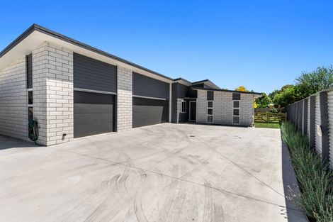 Photo of property in 49 Ritchie Street, Te Aroha, 3320