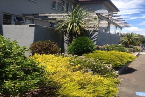 Photo of property in 16 Freyberg Street, Roslyn, Palmerston North, 4414