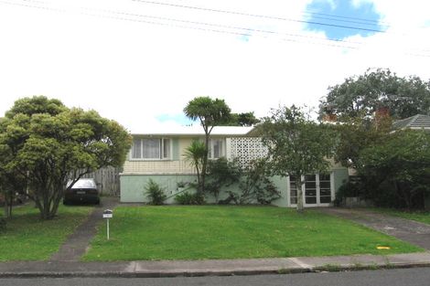 Photo of property in 9 Haycock Avenue, Mount Roskill, Auckland, 1041