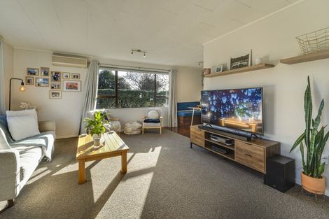 Photo of property in 25 Anglesea Street, Renwick, 7204