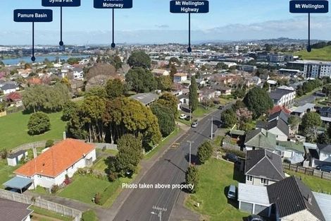 Photo of property in 17 Court Crescent, Panmure, Auckland, 1072