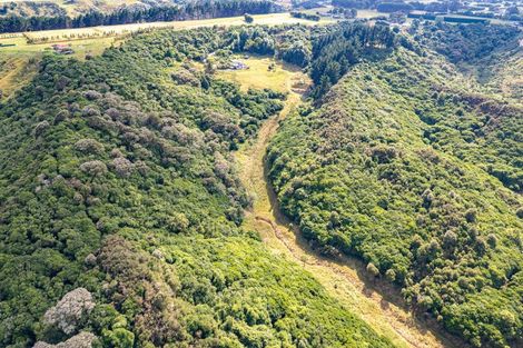 Photo of property in 306 Campbell Road, Brunswick, Whanganui, 4571