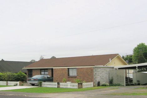 Photo of property in 46 Willoughby Street, Paeroa, 3600
