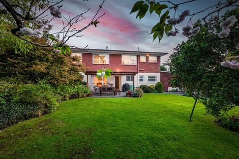 Photo of property in 19 Zita Maria Drive, Massey, Auckland, 0614