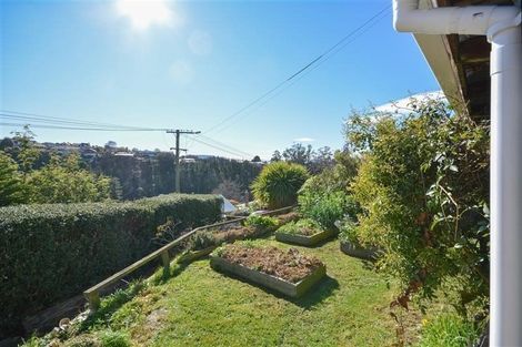 Photo of property in 28 Carson Street, Mornington, Dunedin, 9011
