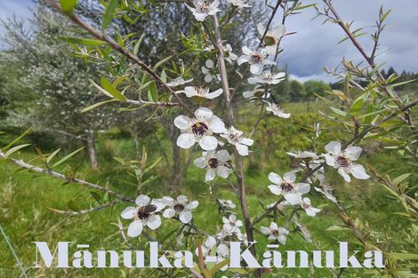 Photo of property in 1296 Wekaweka Road, Waimamaku, Kaikohe, 0473