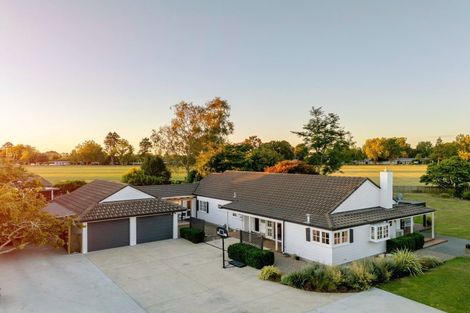 Photo of property in 16 Cowley Drive, Leamington, Cambridge, 3432