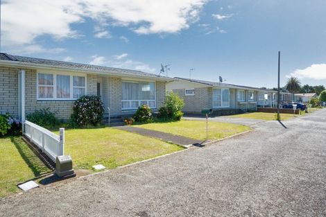 Photo of property in 6 Merton Place, Levin, 5510