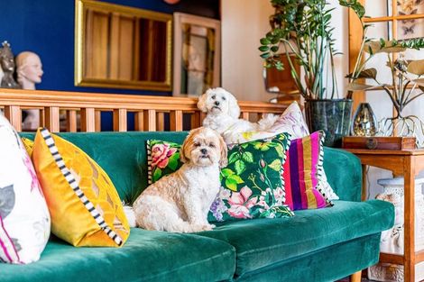 Photo of property in 9 Karepa Street, Brooklyn, Wellington, 6021