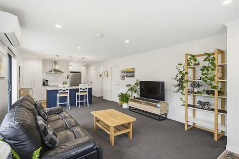 Photo of property in 33 Kawiu Road, Levin, 5510