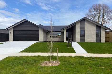 Photo of property in 1 Hauhake Terrace, Leamington, 3495