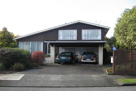 Photo of property in 14 Plunket Street, Solway, Masterton, 5810