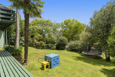 Photo of property in 9 Hall Road, Matua, Tauranga, 3110