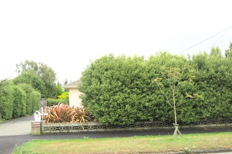 Photo of property in 1/49 Mcbratneys Road, Dallington, Christchurch, 8061