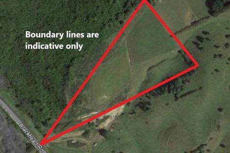 Photo of property in 310 Blackhead Road, Blackhead, Dunedin, 9076