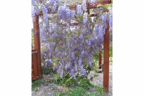 Photo of property in 9 Kakapu Road, Okiato, Russell, 0272