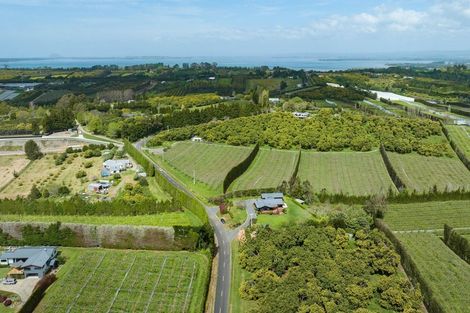 Photo of property in 113 Martray Road, Tahawai, Katikati, 3170