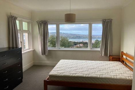 Photo of property in 34 Tweed Street, Roslyn, Dunedin, 9010