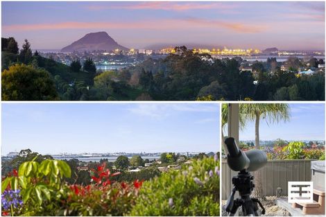 Photo of property in 88 Boscabel Drive, Ohauiti, Tauranga, 3112