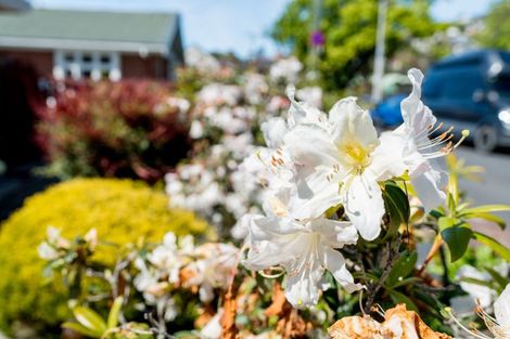 Photo of property in 53b Rutherford Street, Caversham, Dunedin, 9012