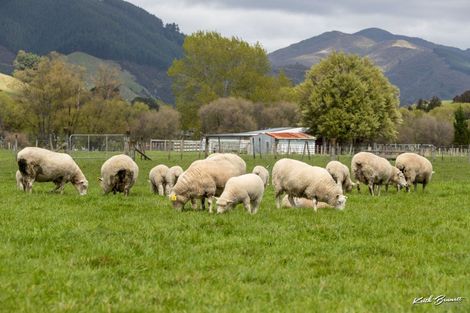 Photo of property in 76 Gorrie Road, Mangaroa, Upper Hutt, 5371