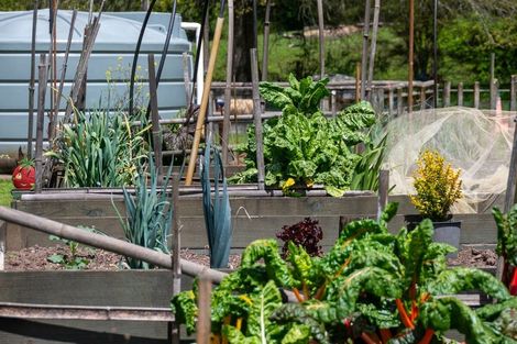 Photo of property in 1061 Paradise Valley Road, Ngongotaha Valley, Rotorua, 3072