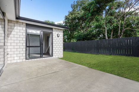 Photo of property in 1/17 Walter Street, Fairfield, Hamilton, 3214