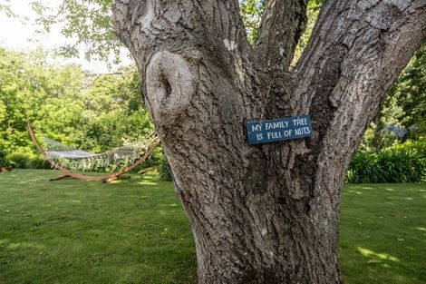 Photo of property in 111 Kingsley Street, Leamington, Cambridge, 3432