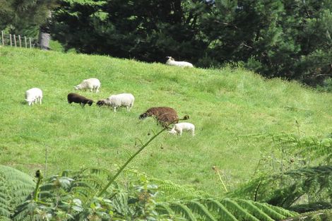 Photo of property in 469e Minden Road, Minden, Tauranga, 3176