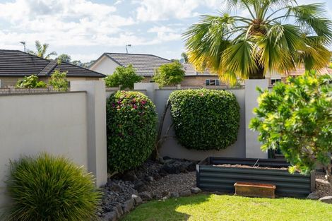 Photo of property in 125 Solomon Street, Brookfield, Tauranga, 3110