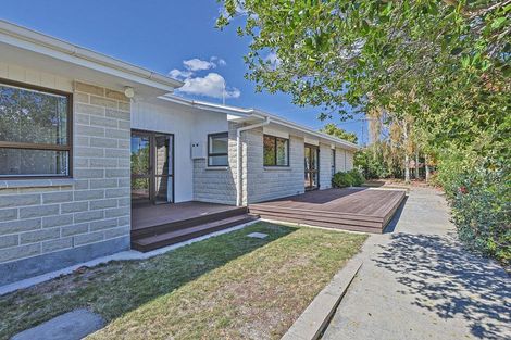 Photo of property in 11a Campbell Street, Havelock North, 4130