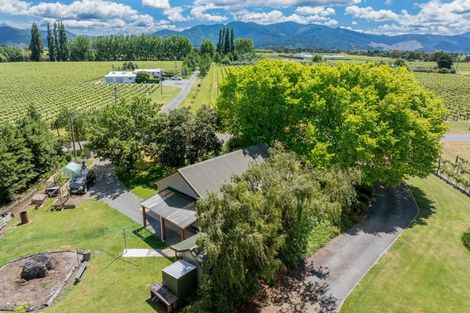 Photo of property in 19 Terrace Road, Renwick, 7204