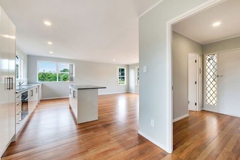 Photo of property in 25 Holland Street, Pukekohe, 2120