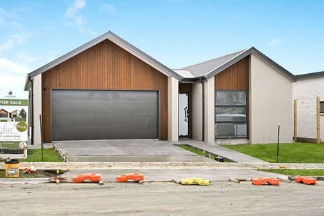 Photo of property in 65 Marsh Avenue, Morrinsville, 3300